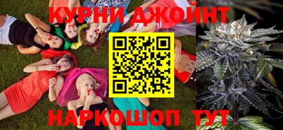 гашик Будённовск
