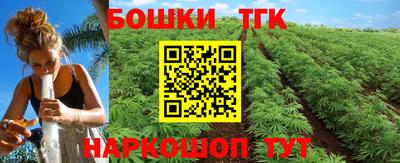 гашик Будённовск