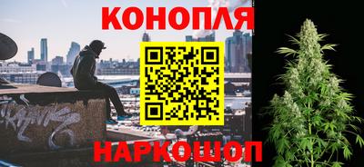 гашик Будённовск